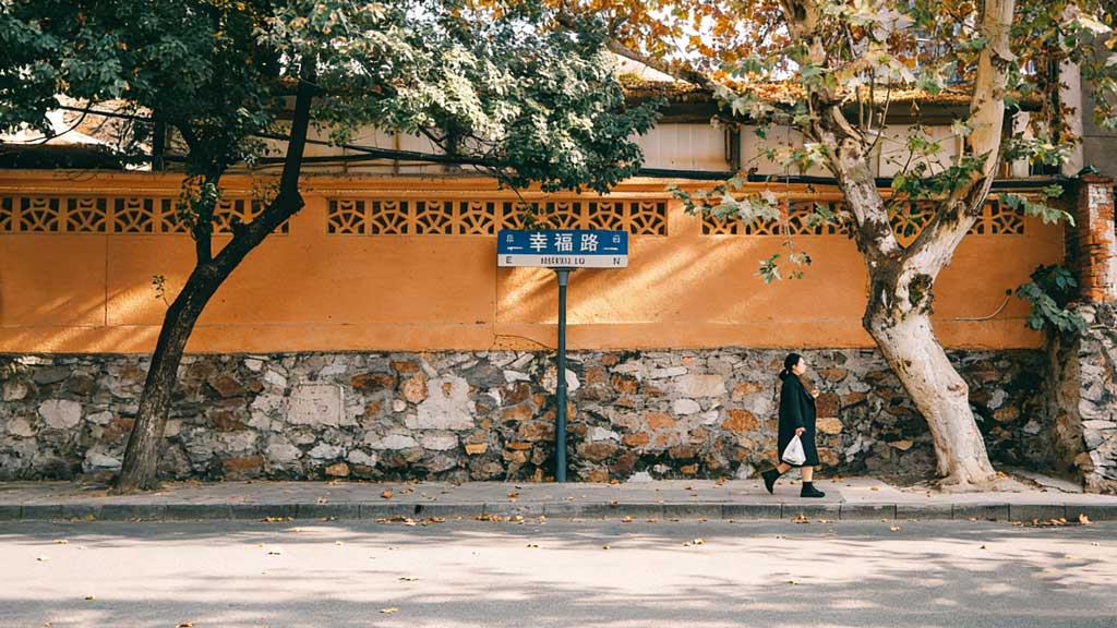 差不多要迈向“正轨”了