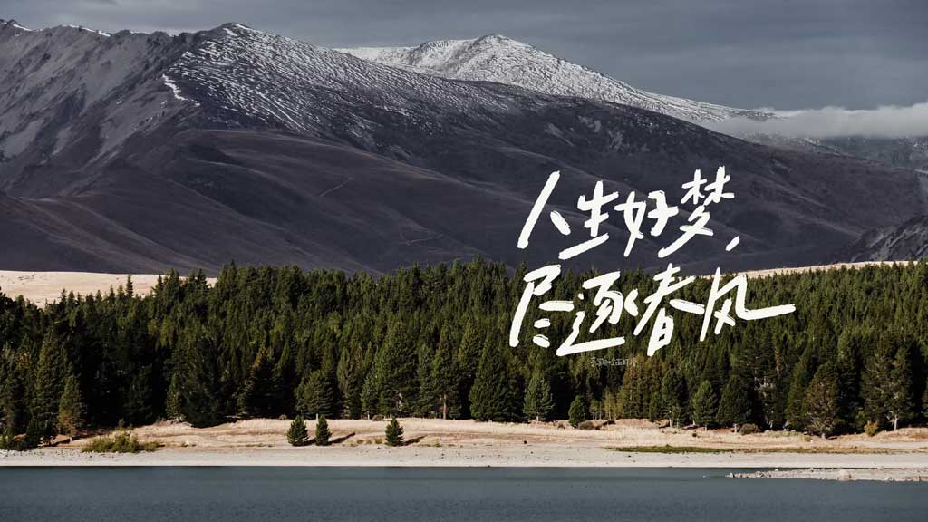 2025年，长冬有尽，暗哑于秋